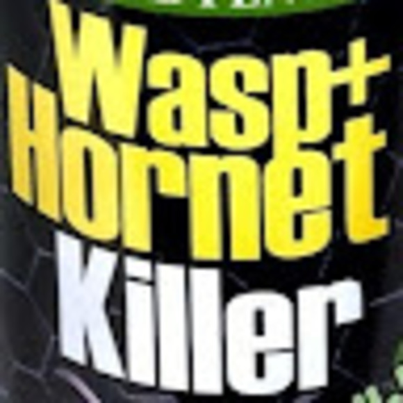 Meet your Posher, Linny - Picture 1 of 1